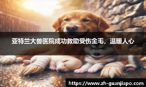 管家婆资料大全